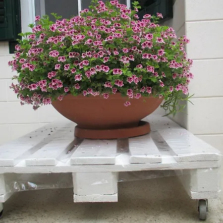 Bed & Breakfast B&B San Tommaso