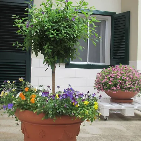 ベッド・アンド・ブレックファスト B&B San Tommaso