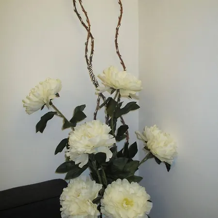 Bed & Breakfast B&B San Tommaso Monopoli