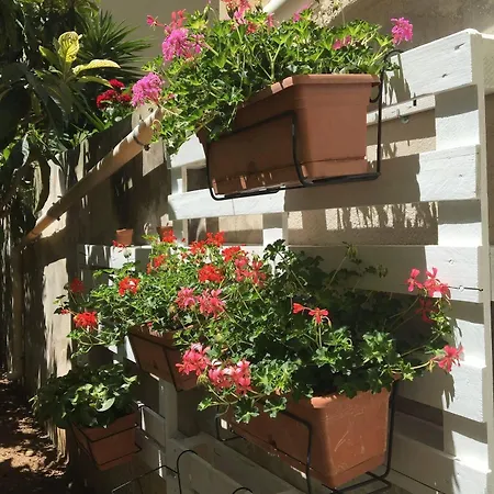 B&B San Tommaso Bed & Breakfast *