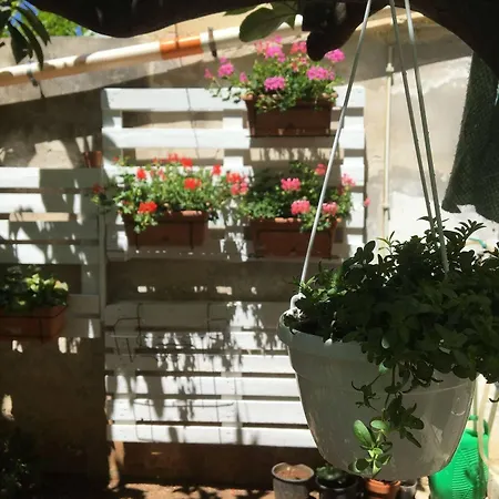 Alojamento de Acomodação e Pequeno-almoço B&B San Tommaso *